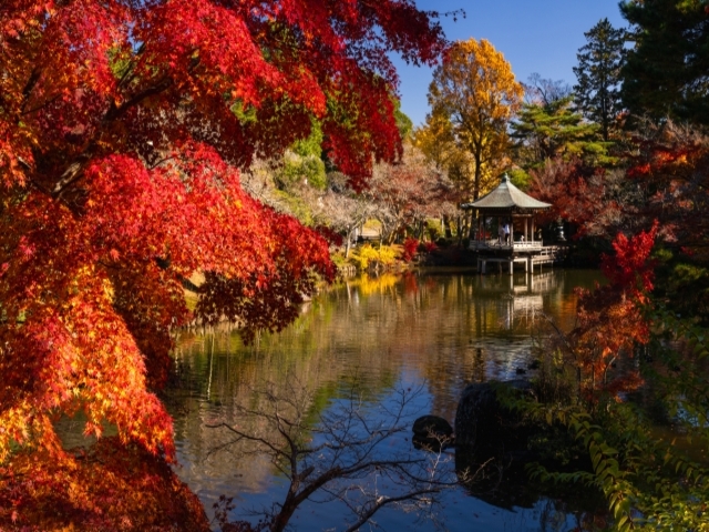 千葉県の風景：成田山公園